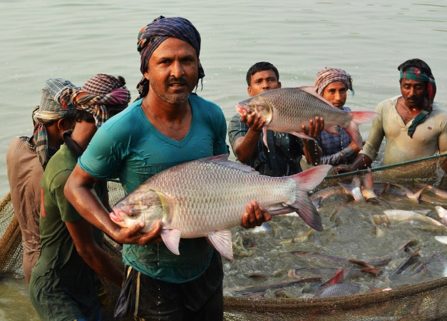 Bangladesh Pursues Food Sustainability
